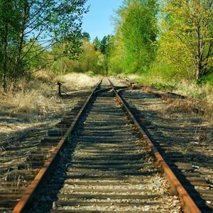 Meet your Posher, Annie